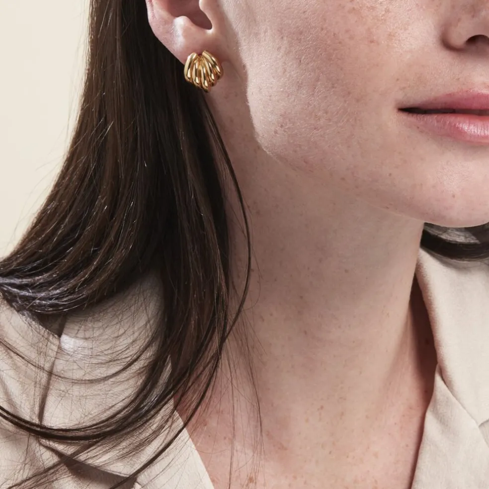 Boucles D'oreilles Or Jaune Verbena