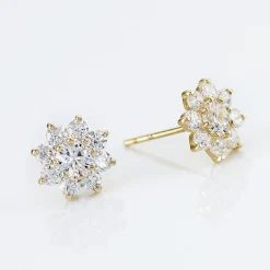 Boucles D'oreilles Or Jaune Eleanor Oxydes
