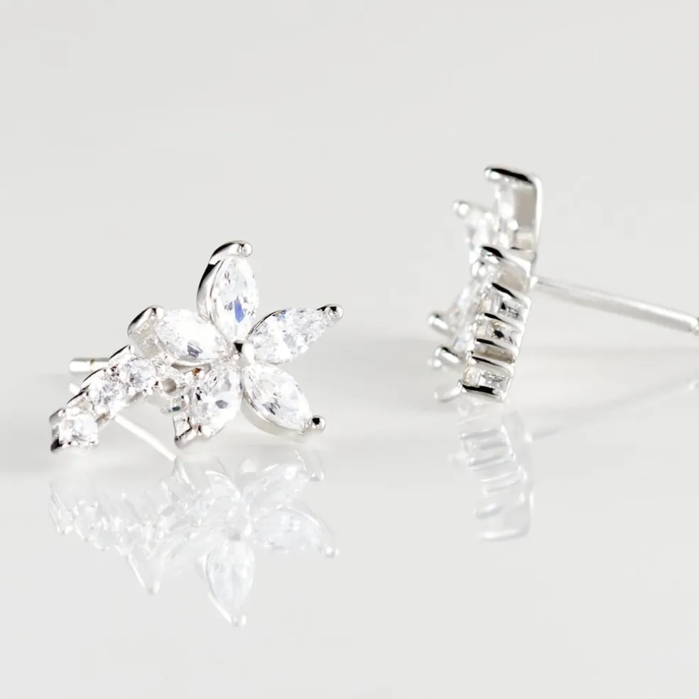 Boucles D'oreilles Puces Argent Blanc Florencio Oxydes De Zirconium