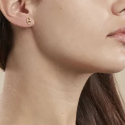 Boucles D'oreilles Puces Cara Or Jaune