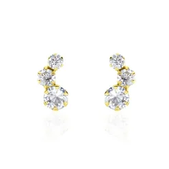 Boucles D'oreilles Puces Or Jaune Albizia Oxydes De Zirconium