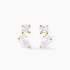 Boucles D'oreilles Puces Shiny Garden Or Jaune Oxyde De Zirconium