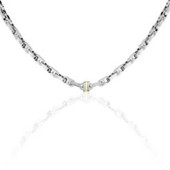 Collier Astrig Or Acier Bicolore