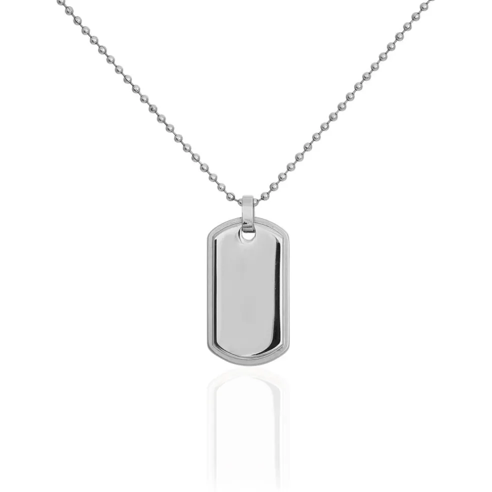 Collier Eutrope Acier Blanc