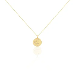 Collier Iago Plaqué Or Oxydes De Zirconium