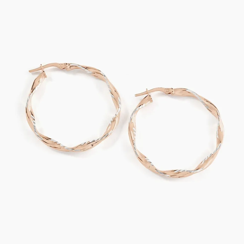 Créoles Argent Rose Alieno