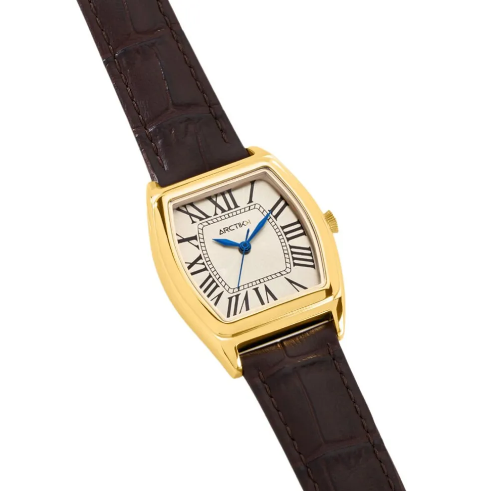 Montre Arctik Globe Argenté