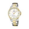 Montre Festina Solar Energy Argenté