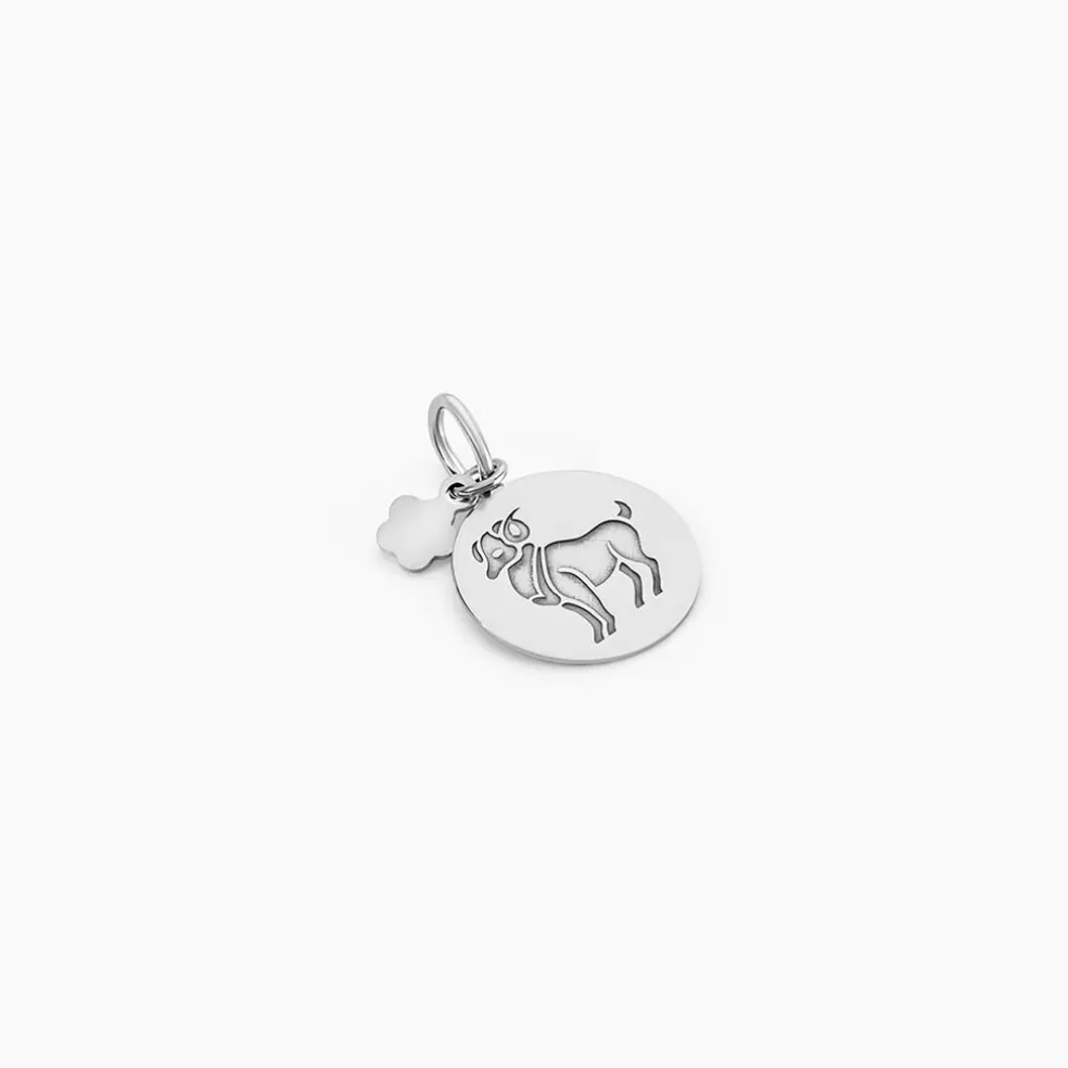Pendentif Zodiaque Rond Argent Blanc